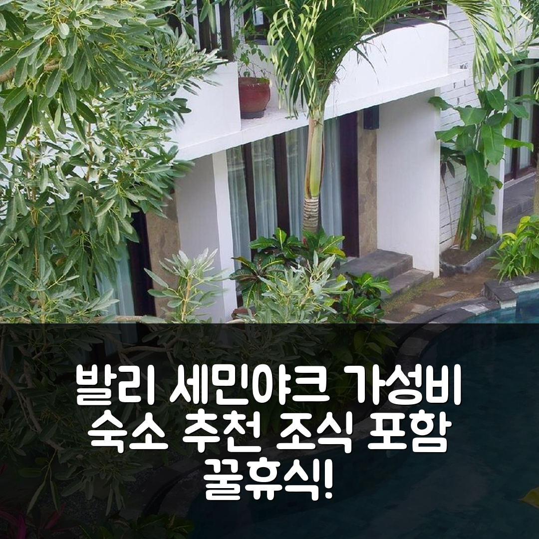 발리 숙소 여행 호텔 추천 세민야크 타운 하우스 | 가성비 좋은 위치와 조식으로 즐거운 휴식 5가지