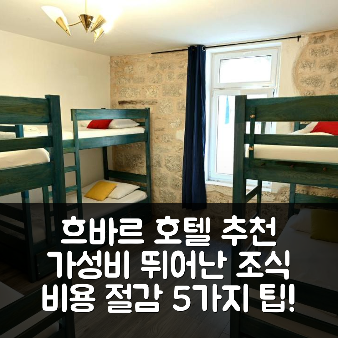 흐바르 숙소 여행 호텔 추천 화이트 래빗 호스텔 | 가성비 뛰어난 조식과 비용 절감 5가지 방법