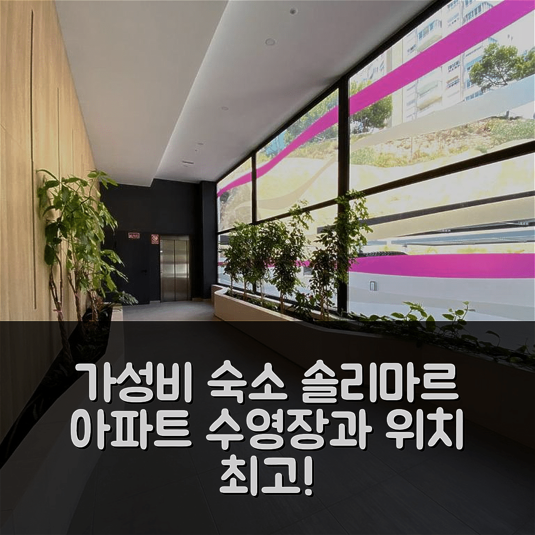 베니돔 숙소 여행 호텔 추천 솔리마르 아파트 | 5가지 이유로 추천하는 수영장과 위치 좋은 가성비 숙소