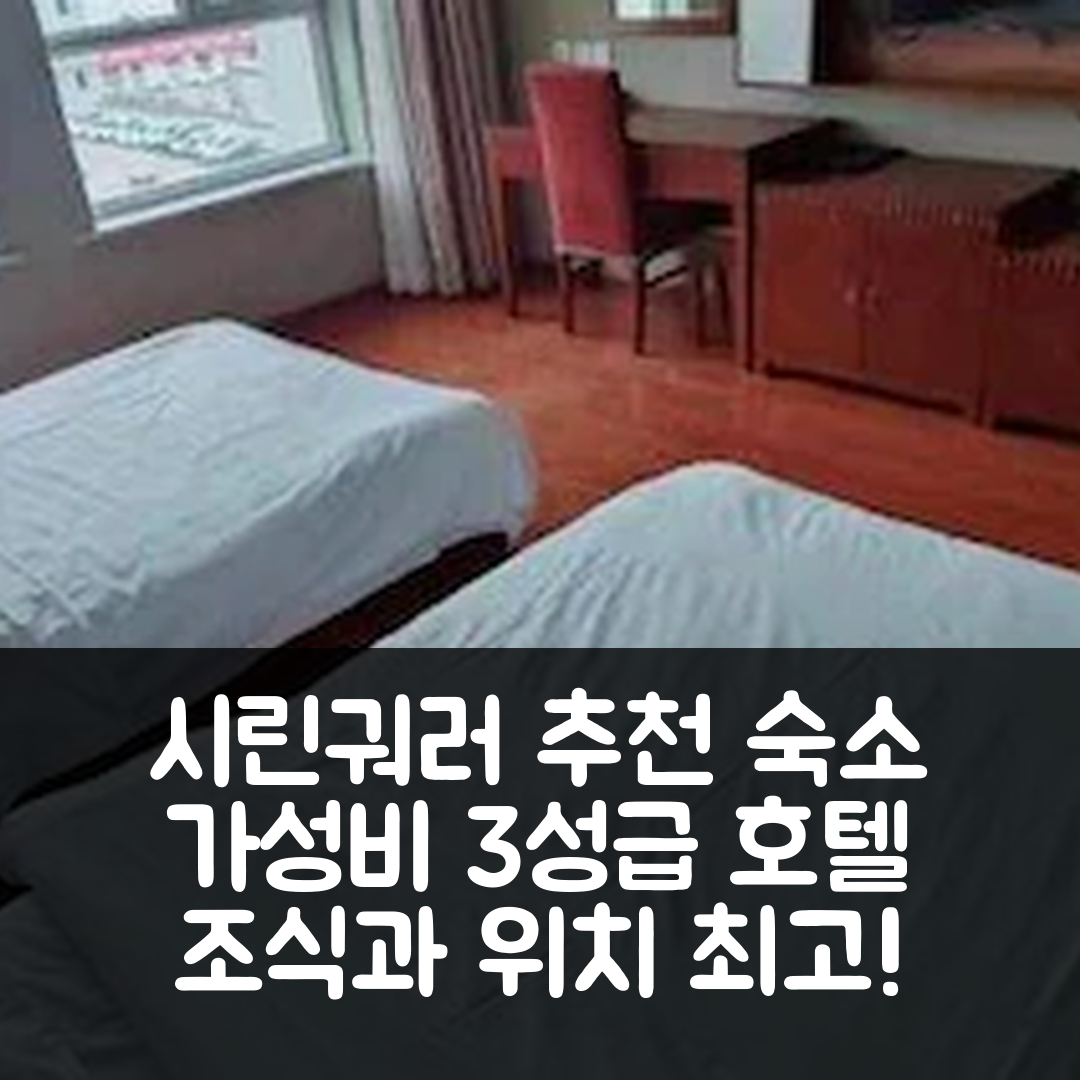 시린궈러 숙소 여행 호텔 추천 셩민 비즈니스 호텔 | 가성비 뛰어난 3성급 조식 및 위치 정보 5가지