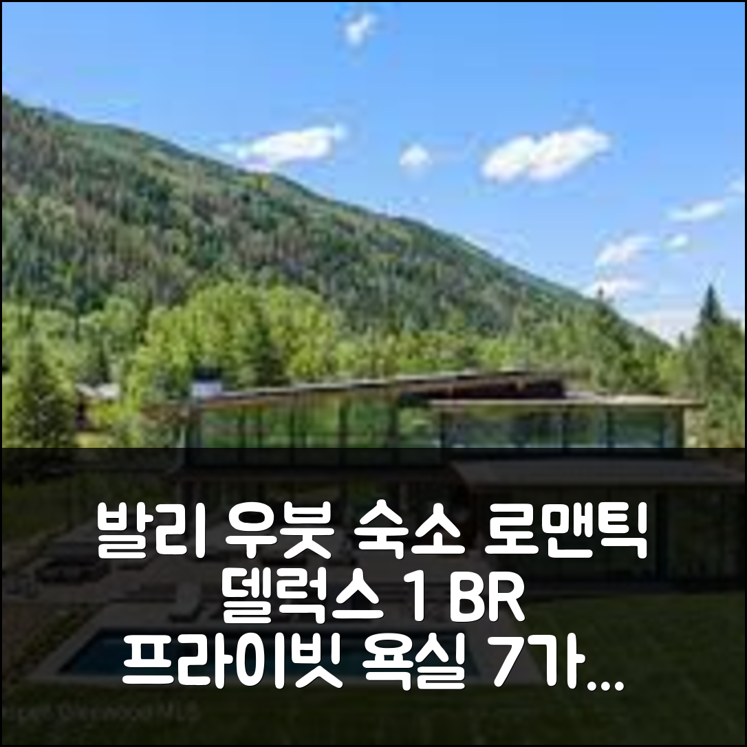 발리 숙소 여행 호텔 추천 우붓의 아파트먼트 | 45m² 프라이빗 욕실과 로맨틱한 1 BR 델럭스 스위트 장점 7가지