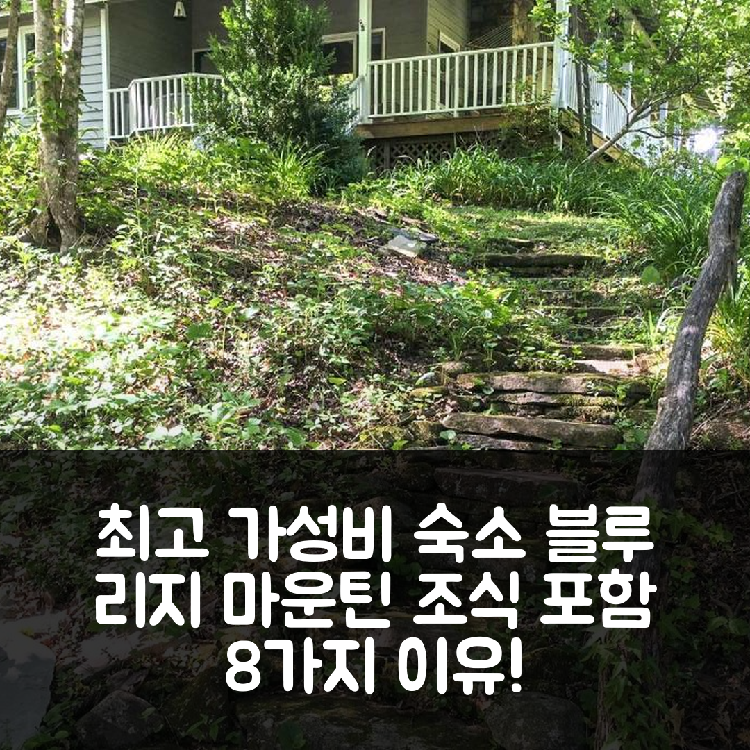 에드니빌 숙소 여행 호텔 추천 블루 리지 마운틴 이스케이프 | 조식과 가성비 좋은 8가지 이유