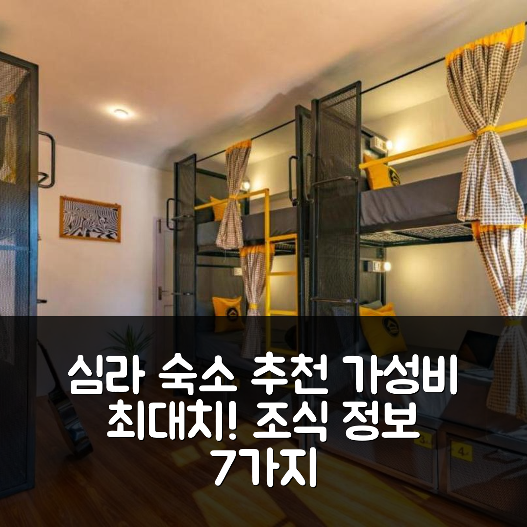 심라 숙소 여행 호텔 추천 더 호스텔러 나르칸다 | 가성비 좋은 위치와 조식 정보 7가지