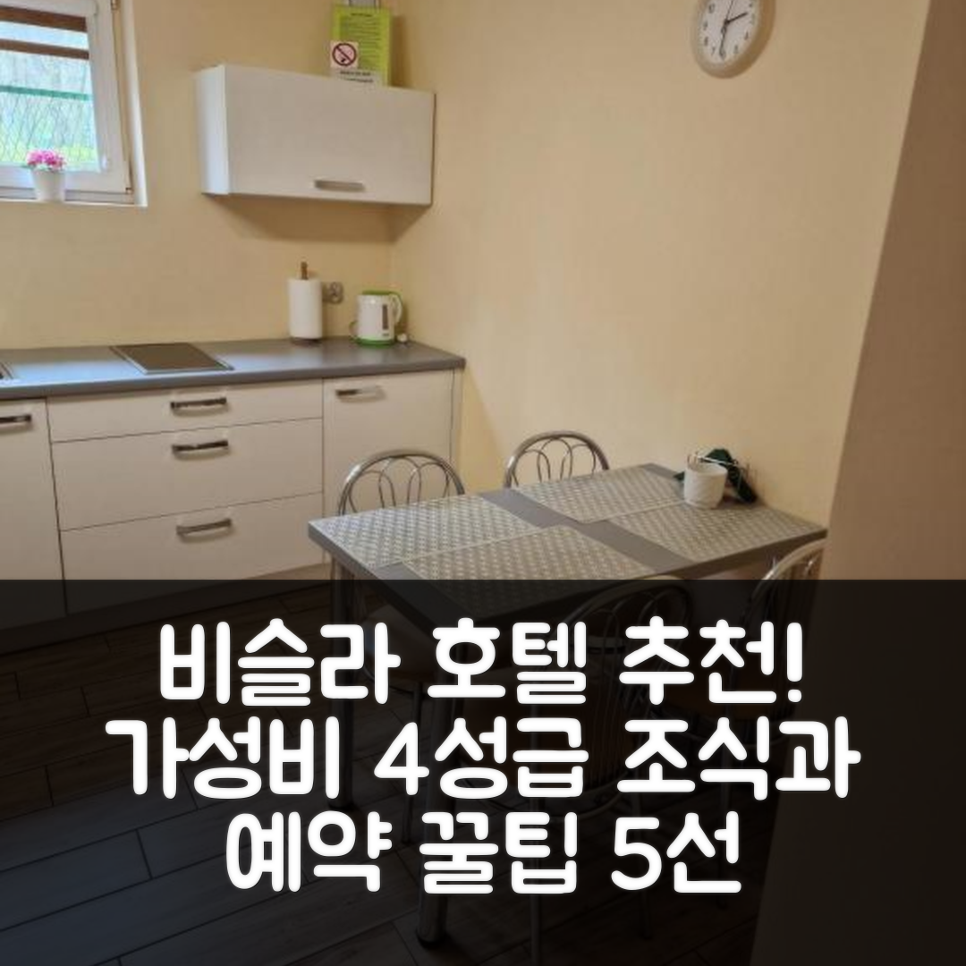 비슬라 숙소 여행 호텔 추천 도메크 우 바르투시아 | 가성비 뛰어난 4성급 조식과 예약 정보 5가지