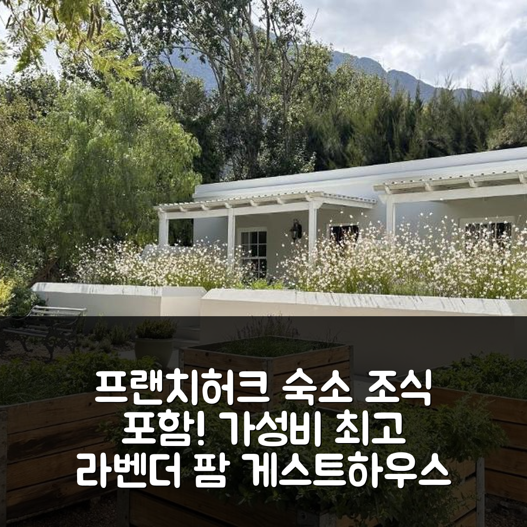 프랜치허크 숙소 여행 호텔 추천 라벤더 팜 게스트하우스 | 조식과 가성비 뛰어난 4가지 이유