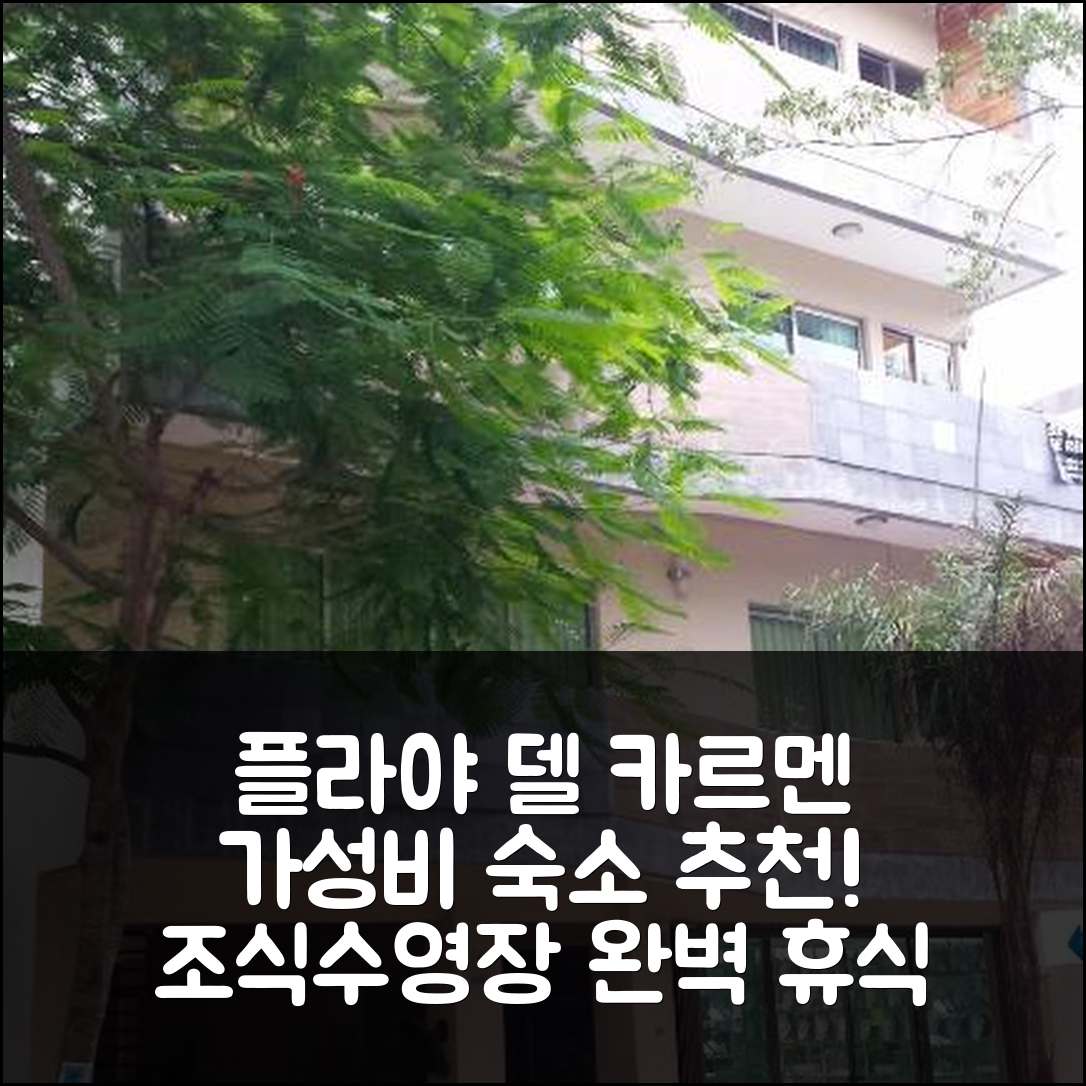 플라야 델 카르멘 숙소 여행 호텔 추천 마야 바칸체스 플라야 킨타 비앤비 | 가성비 뛰어난 조식과 수영장으로 즐기는 완벽한 휴식 5가지 팁