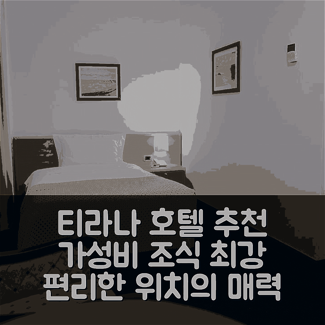 티라나 숙소 여행 호텔 추천 에어포트 호텔 티라나 | 가성비 우수한 조식과 편리한 위치의 매력 7가지