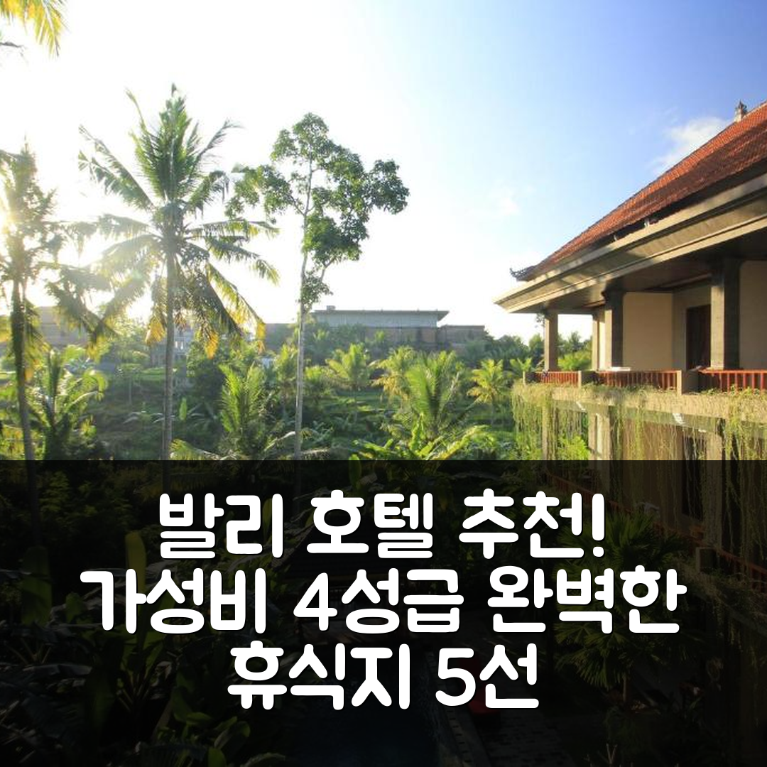 발리 숙소 여행 호텔 추천 알람 테라스 코티지 | 가성비 뛰어난 4성급 조식과 수영장으로 완벽한 휴식지 5가지 이유