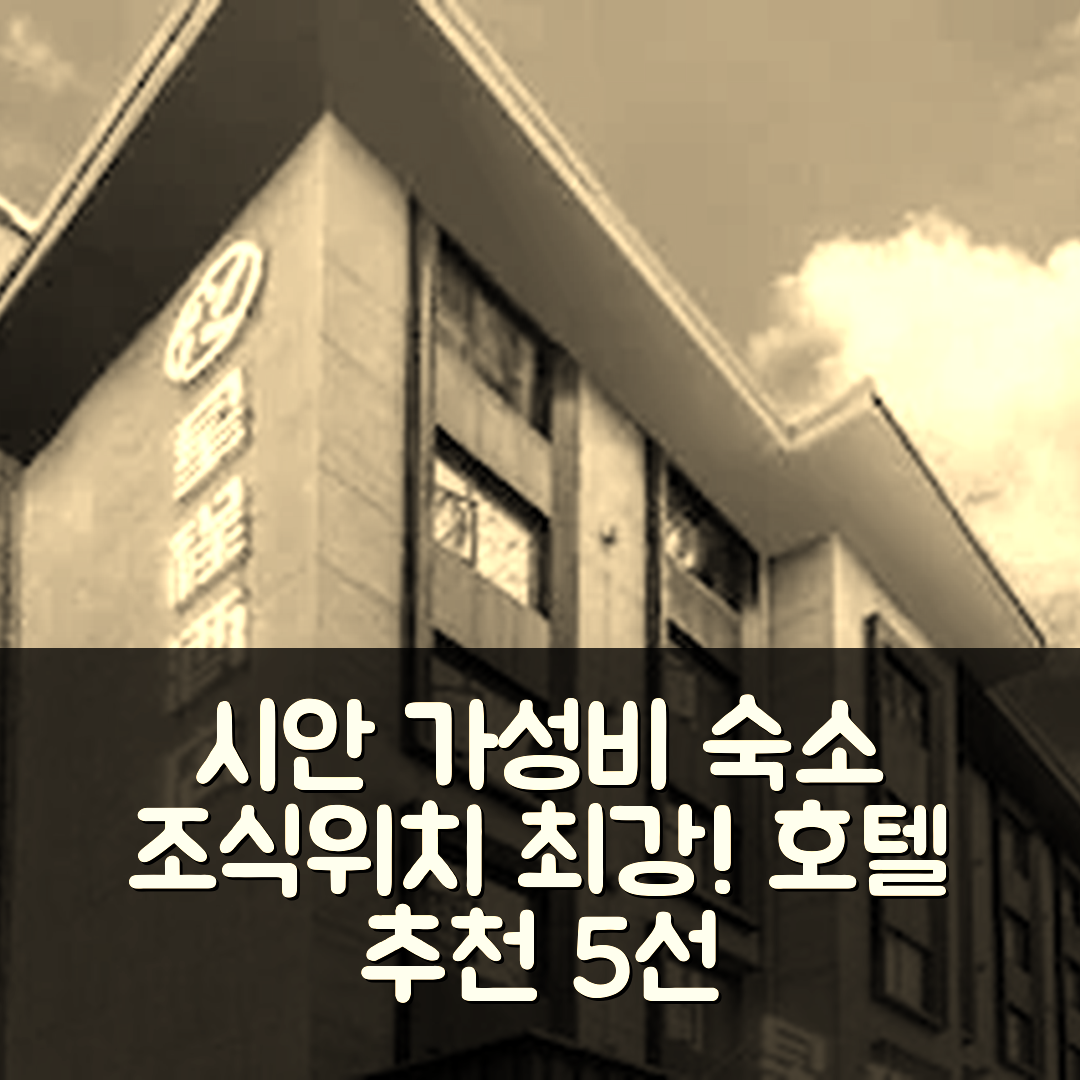 시안 숙소 여행 호텔 추천 시안 과학기술대학 분교 | 가성비 뛰어난 조식과 편리한 위치 5가지