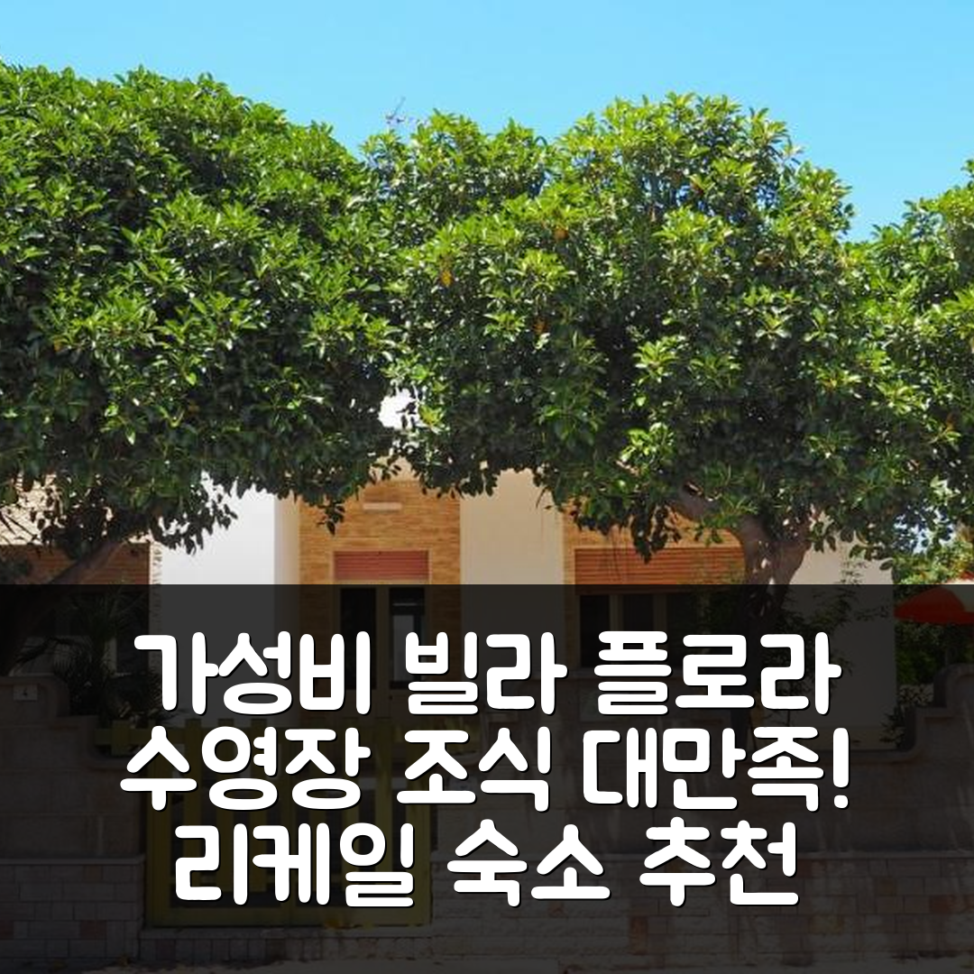 리케일 숙소 여행 빌라 플로라 | 가성비 뛰어난 수영장과 조식 5가지 매력
