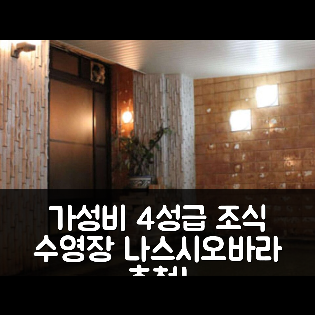 나스시오바라 숙소 여행 호텔 추천 누리야 | 가성비 뛰어난 4성급 조식과 수영장 정보 7가지