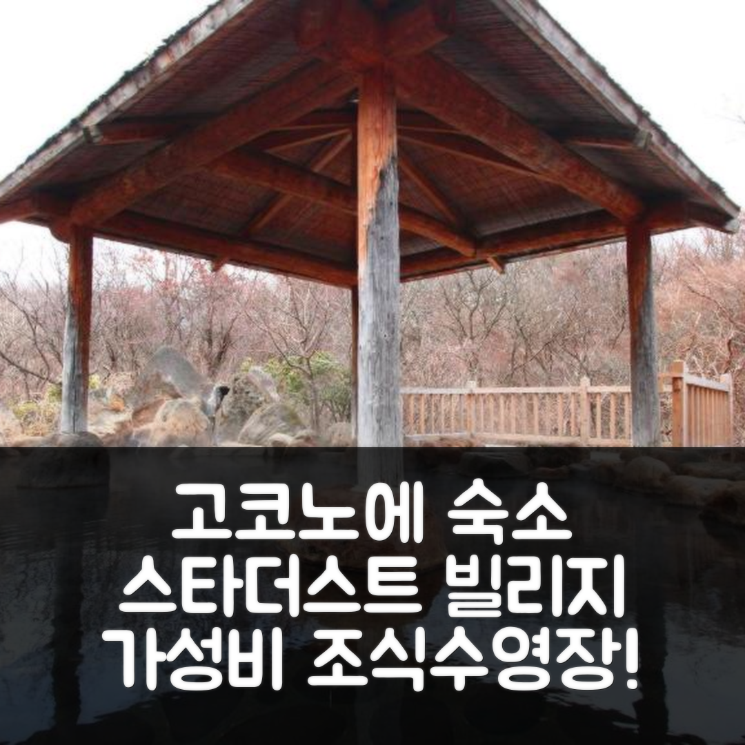 고코노에 숙소 여행 호텔 추천 스타더스트 빌리지 호시오 | 가성비 뛰어난 조식과 수영장 정보 5가지