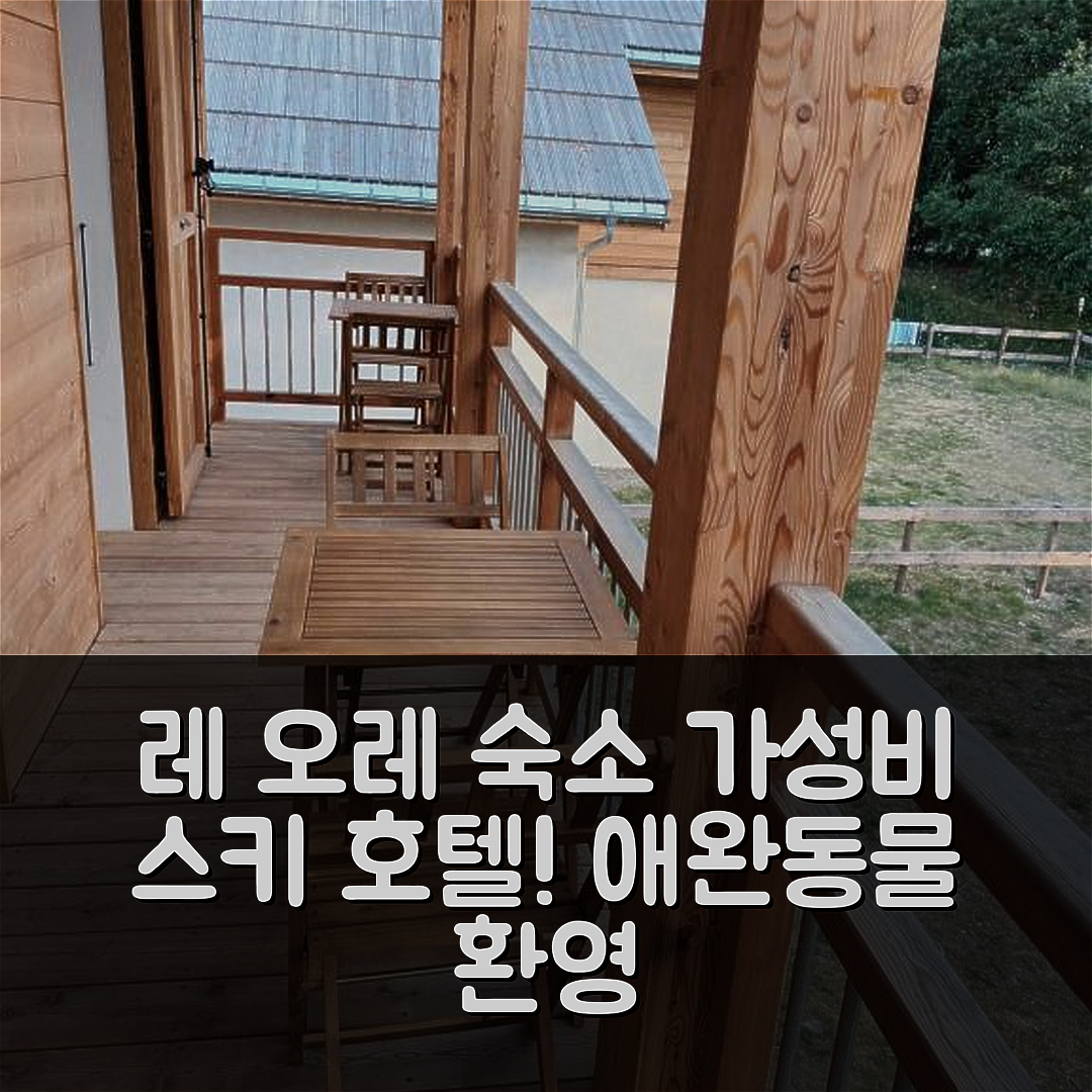 레 오레 숙소 여행 호텔 추천 스키 에 뎅트 호텔 | 가성비 뛰어난 애완동물 OK 5가지 이유