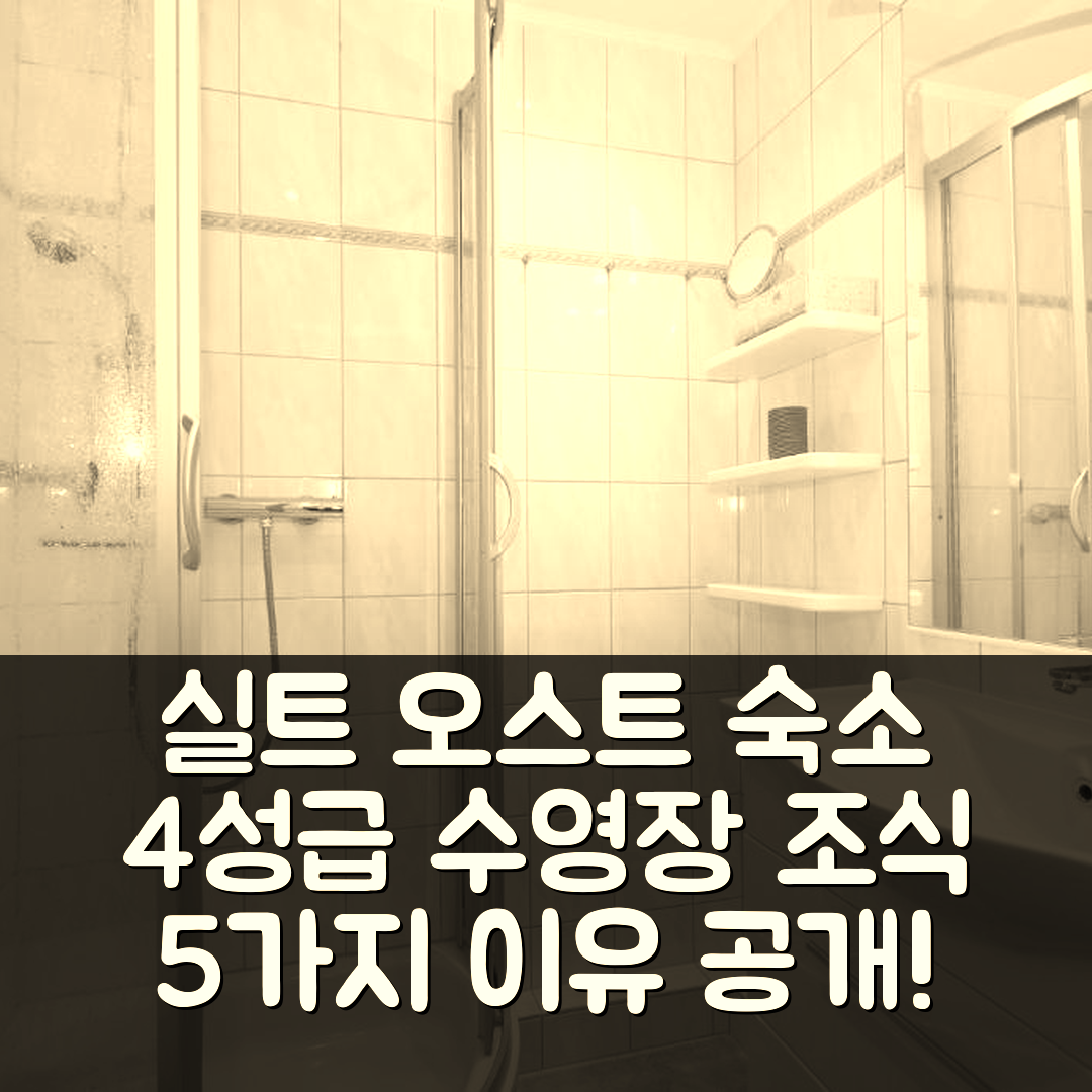 실트 오스트 숙소 여행 호텔 추천 스트란드펠레 47 | 4성급 수영장과 맛있는 조식 5가지 이유