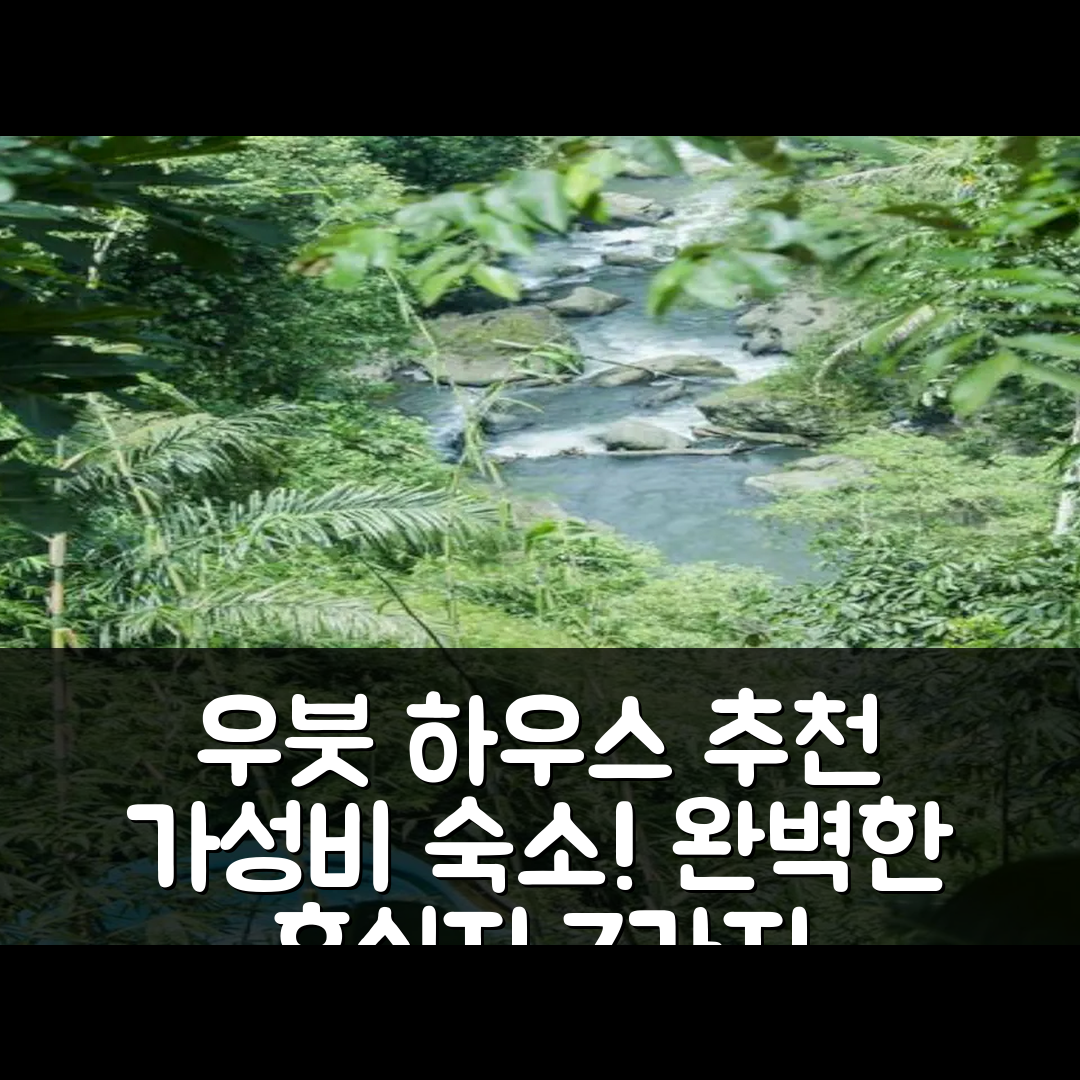 발리 숙소 여행 호텔 추천 디테피 우붓 하우스 | 가성비 좋은 수영장과 조식으로 완벽한 휴식지 7가지 이유