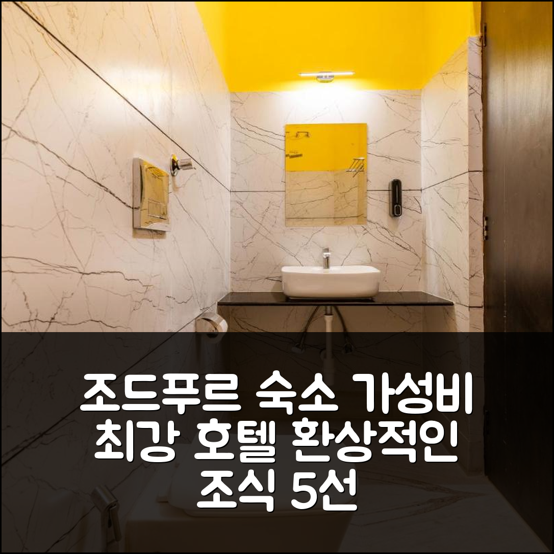 조드푸르 숙소 여행 호텔 추천 더 호스텔러 조드푸르 | 가성비와 위치 최강의 조식 5가지