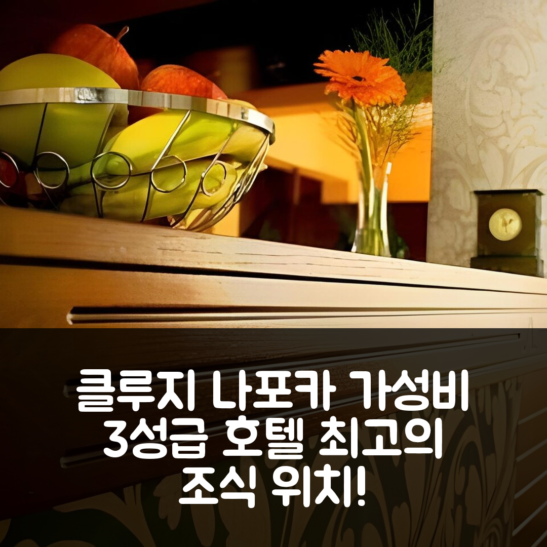 클루지 나포카 숙소 여행 호텔 추천 펜션 아레나 | 가성비 뛰어난 3성급 조식과 위치 정보 5가지