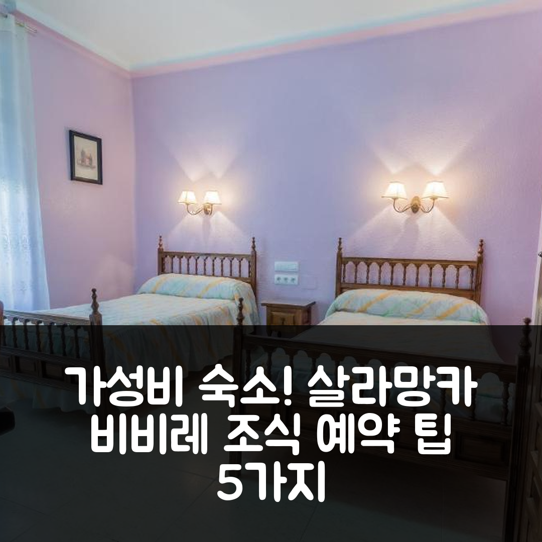 살라망카 숙소 여행 호텔 추천 비비레 스테이즈 펜션 버지니아 | 가성비 뛰어난 조식과 완벽한 위치 예약 팁 5가지